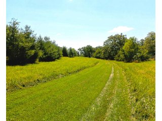 21.868+/- Acres. 
Per the owner, there are 290 walnut trees that are approximately 10 years old.
The Little Monon Creek runs through this property.

There is a cemetery on this property and they have ingress and egress access to the property. - Recreatonal & Investment & Possible Building Site
